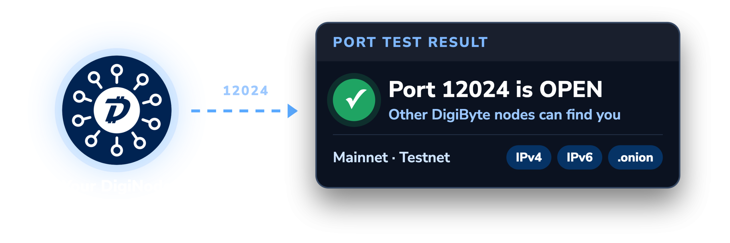 A DigiNode and a port test result showing port 12024 is open