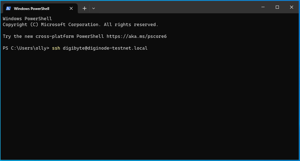 The ssh command for diginode-testnet.local in Windows Terminal